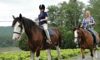 Guided Trail Rides - Willow Grove Farm & Stables