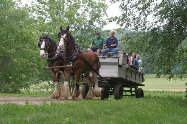 Horse Drawn Wagon Rides - Willow Grove Farm & Stables